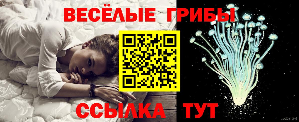 Торжок  Галлюциногенные грибы мухоморы  Вход с VPN 