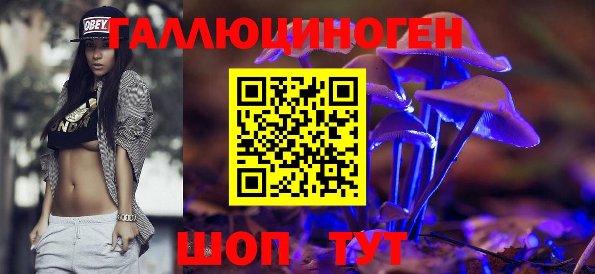Псилоцибиновые грибы Psilocybe Торжок